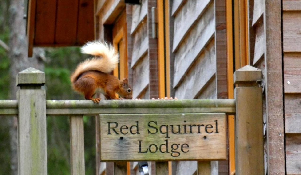 Cairngorm Lodges Aboyne Eksteriør billede
