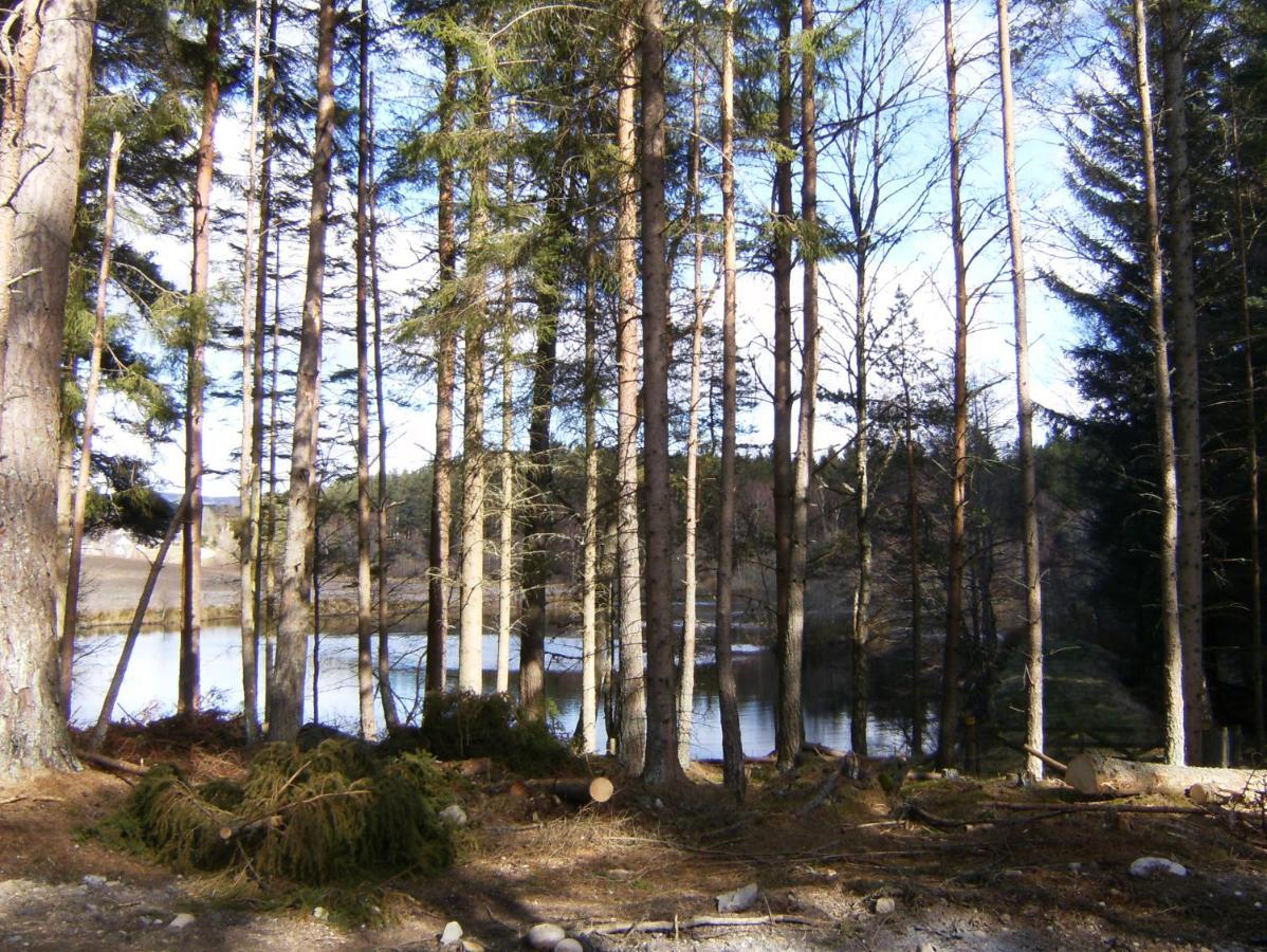 Cairngorm Lodges Aboyne Eksteriør billede