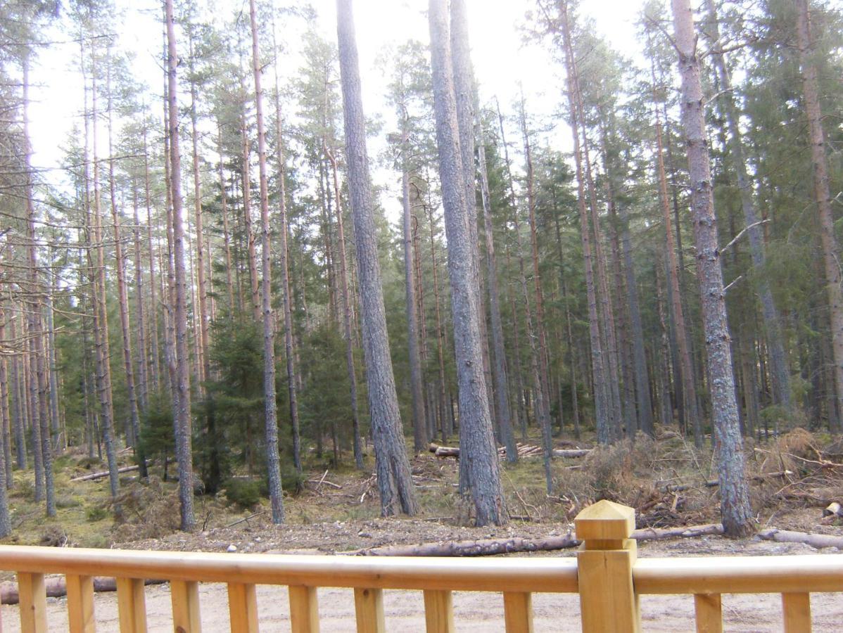 Cairngorm Lodges Aboyne Eksteriør billede