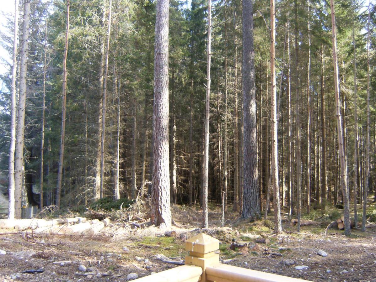 Cairngorm Lodges Aboyne Eksteriør billede