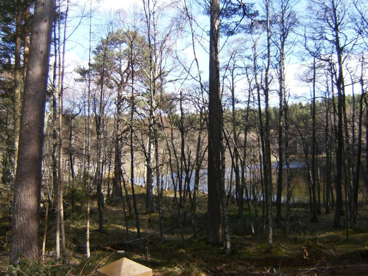 Cairngorm Lodges Aboyne Eksteriør billede