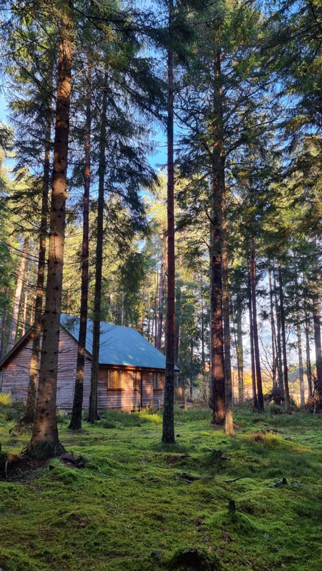 Cairngorm Lodges Aboyne Eksteriør billede