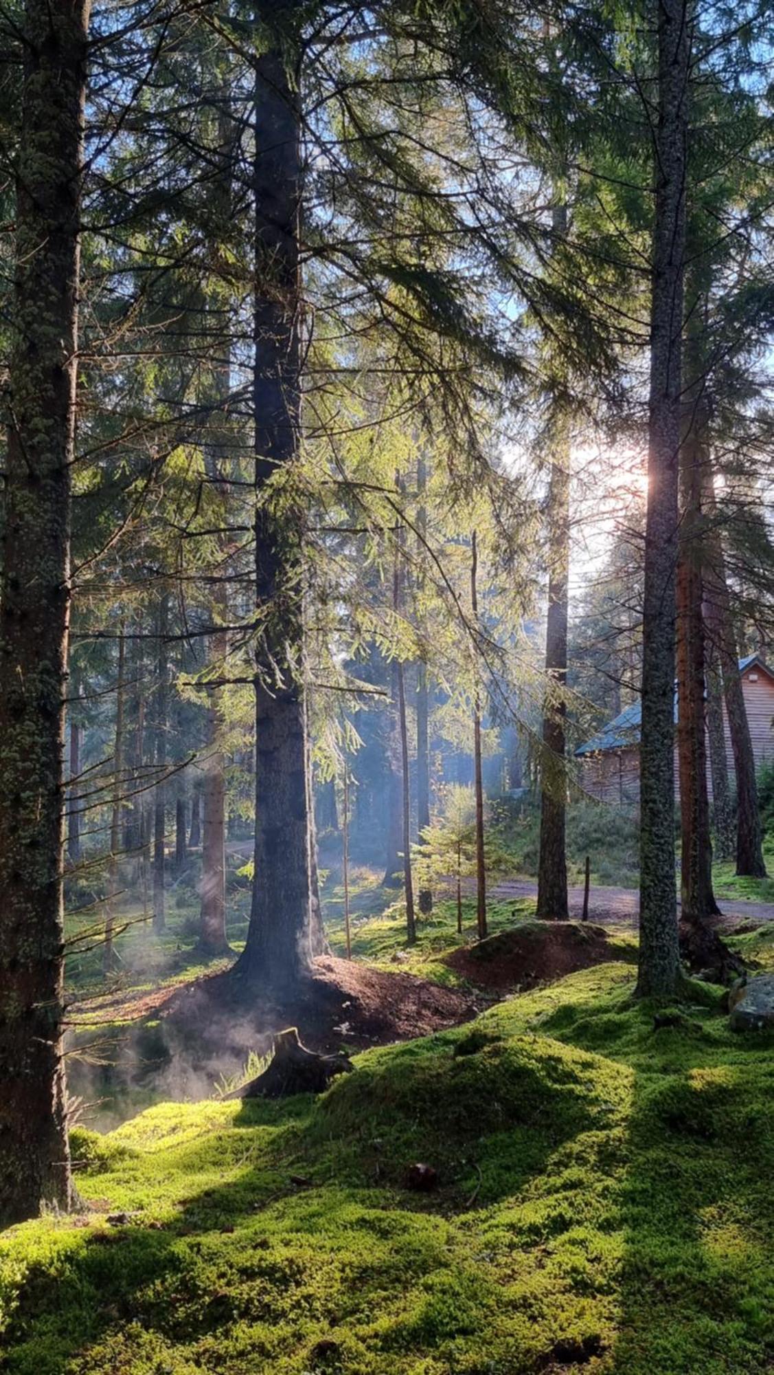Cairngorm Lodges Aboyne Eksteriør billede