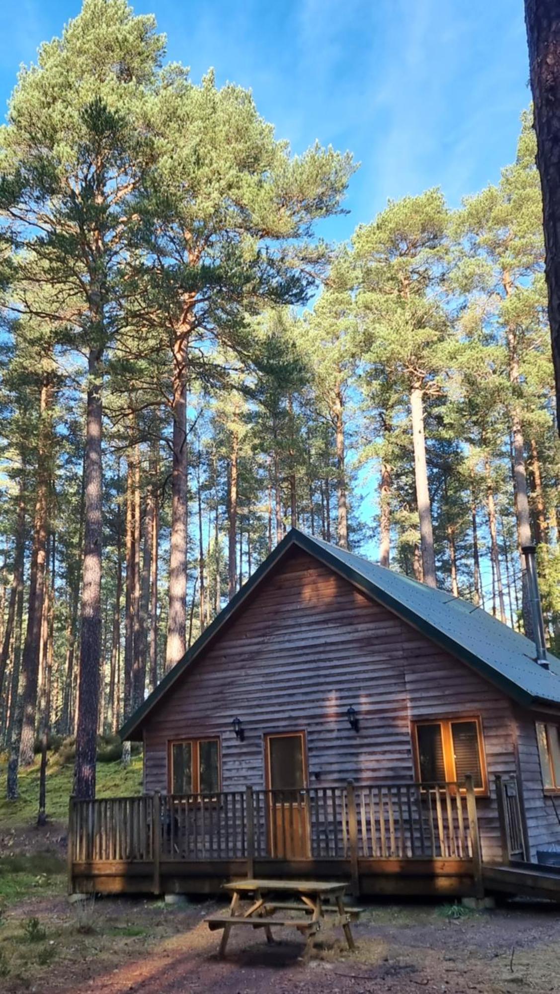 Cairngorm Lodges Aboyne Eksteriør billede