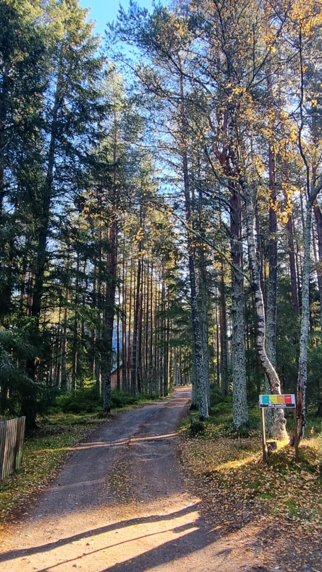 Cairngorm Lodges Aboyne Eksteriør billede