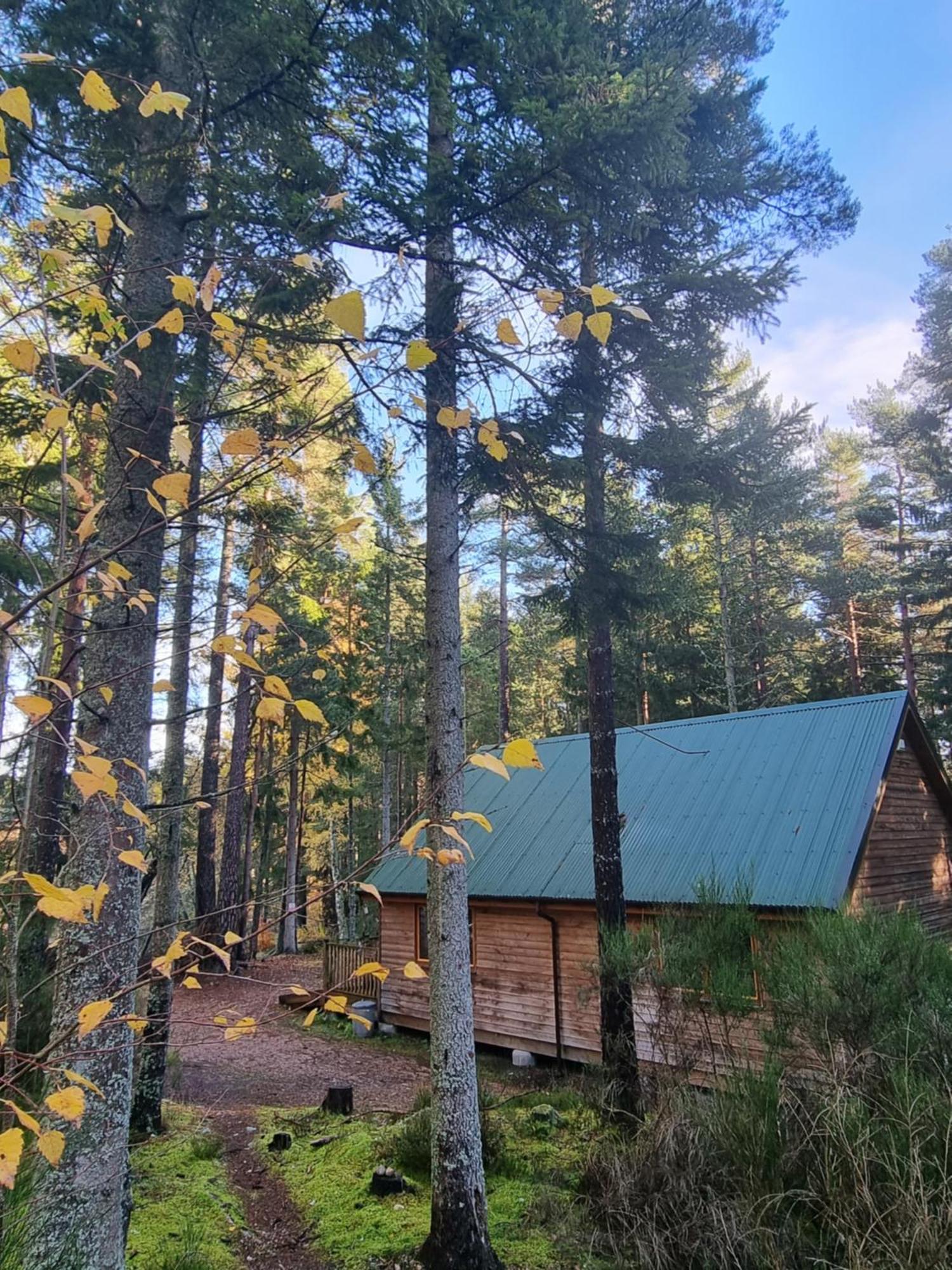 Cairngorm Lodges Aboyne Eksteriør billede