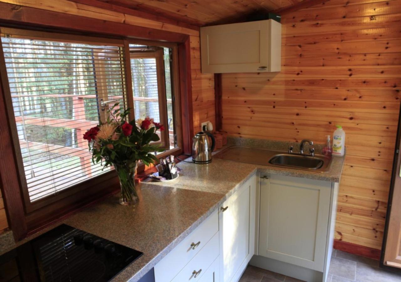 Cairngorm Lodges Aboyne Eksteriør billede
